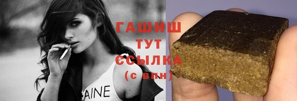 гашик Снежногорск