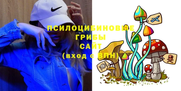 гашик Снежногорск