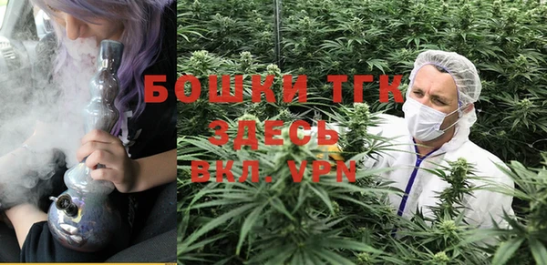 гашик Снежногорск