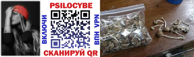 Псилоцибиновые грибы GOLDEN TEACHER  Вятские Поляны 