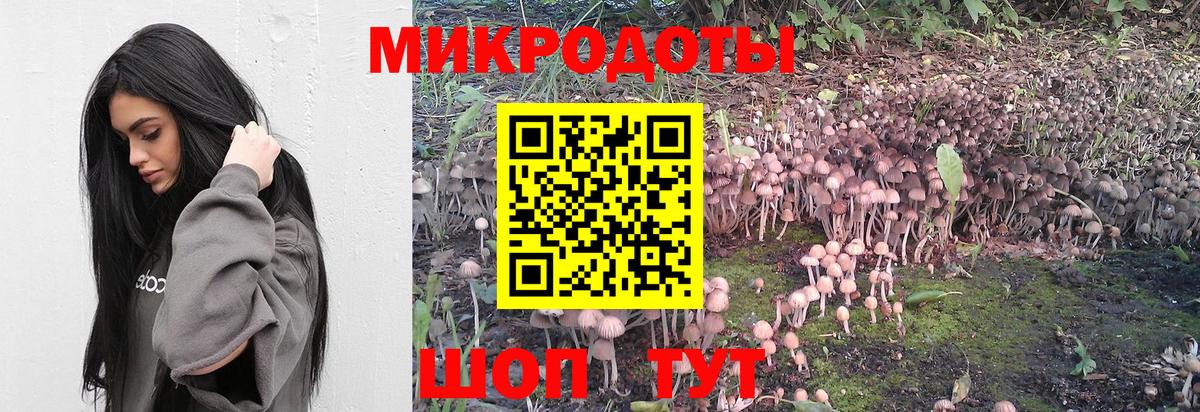 Галлюциногенные грибы мухоморы Вятские Поляны